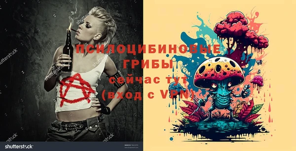 а пвп мука Мегион